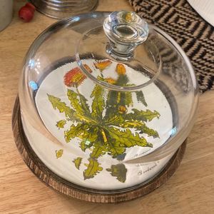 Vintage Goodwood Teak Cheese Tray with Glass Cover Dandelion Plate Design